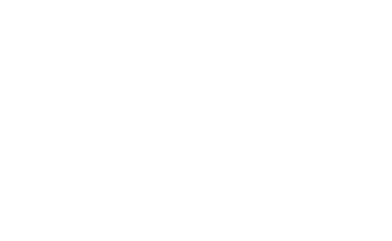 inc